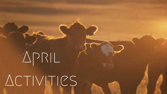 April Activities April Activities